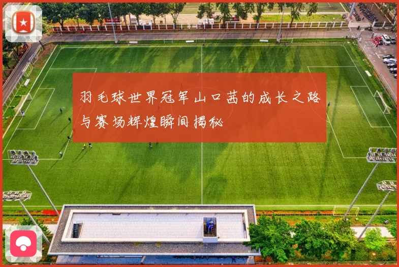 羽毛球世界冠军山口茜的成长之路与赛场辉煌瞬间揭秘