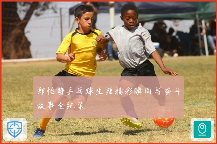 郑怡静乒乓球生涯精彩瞬间与奋斗故事全纪录