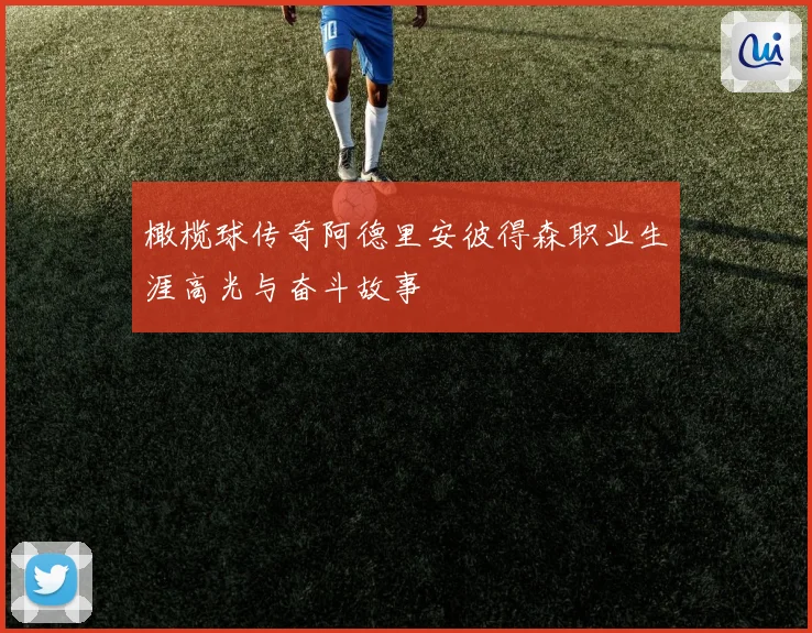 橄榄球传奇阿德里安彼得森职业生涯高光与奋斗故事