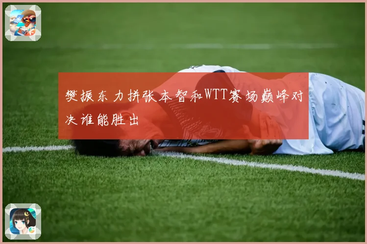 樊振东力拼张本智和WTT赛场巅峰对决谁能胜出