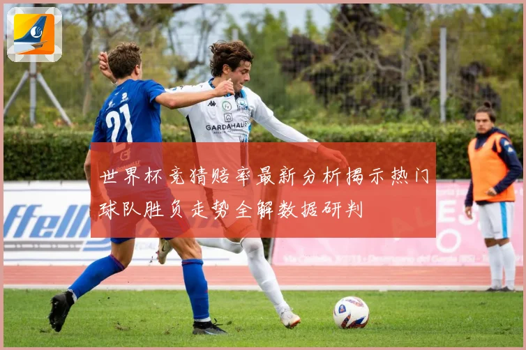 世界杯竞猜赔率最新分析揭示热门球队胜负走势全解数据研判