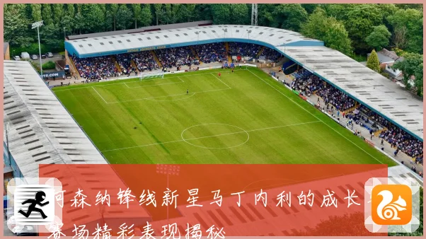 阿森纳锋线新星马丁内利的成长与赛场精彩表现揭秘