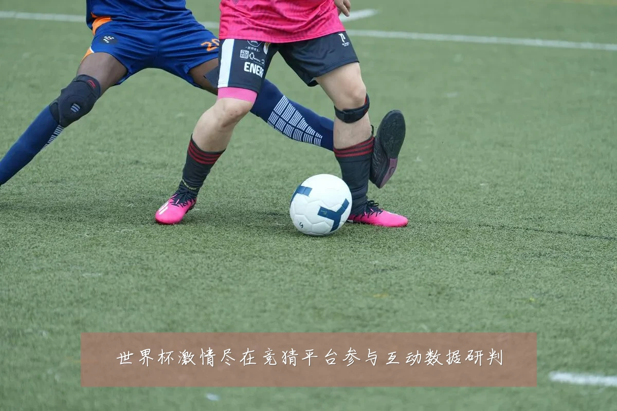 世界杯激情尽在竞猜平台参与互动数据研判