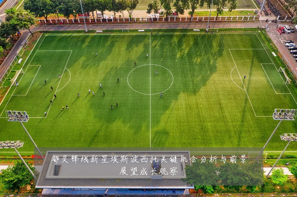 都灵锋线新星埃斯波西托关键机会分析与前景展望成长观察