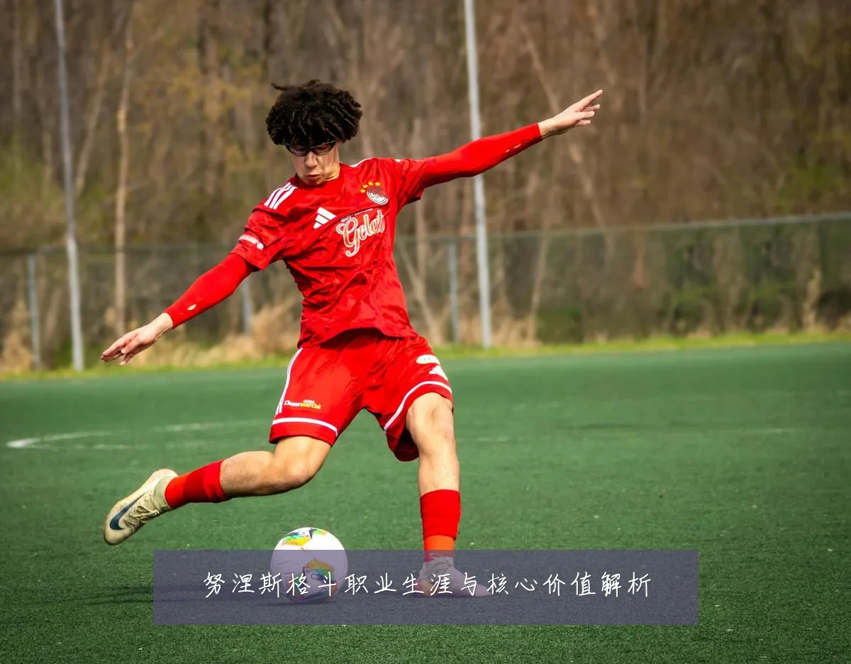 努涅斯格斗职业生涯与核心价值解析