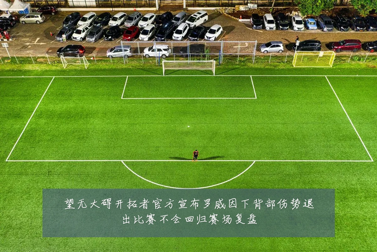 望无大碍开拓者官方宣布罗威因下背部伤势退出比赛不会回归赛场复盘